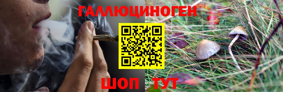Галлюциногенные грибы прущие грибы Сургут