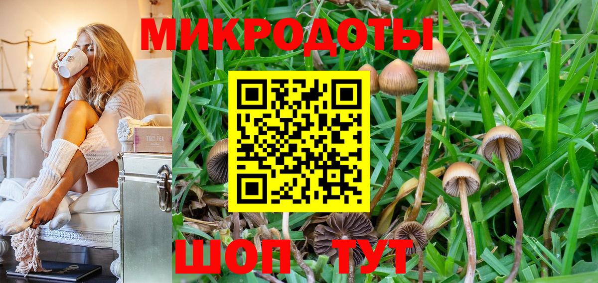 Сургут  Галлюциногенные грибы мухоморы  Вход с VPN 